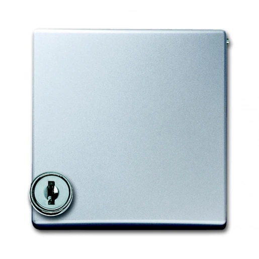 ABB Busch-Jaeger centraalplaat kd + slot verloop voor si ip44 70x49x70mm klapdeksel aluminium RAL 9006 2CKA001710A3789