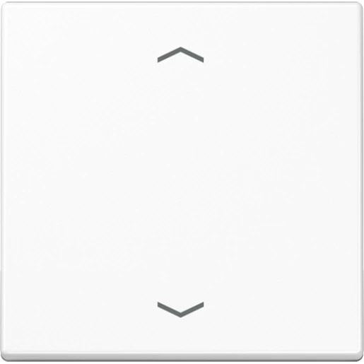 Jung A range afdekking a(s)500 stand voor 1730je enkelvoudig Glanzend wit RAL 9016 A1700BFPWW