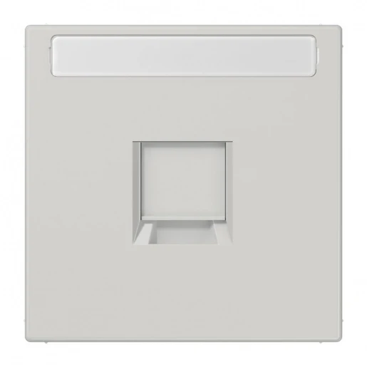Jung LS range afdekking ls990 Modular-Jack 1 connector Met label grijs LS1969-15NAWELG
