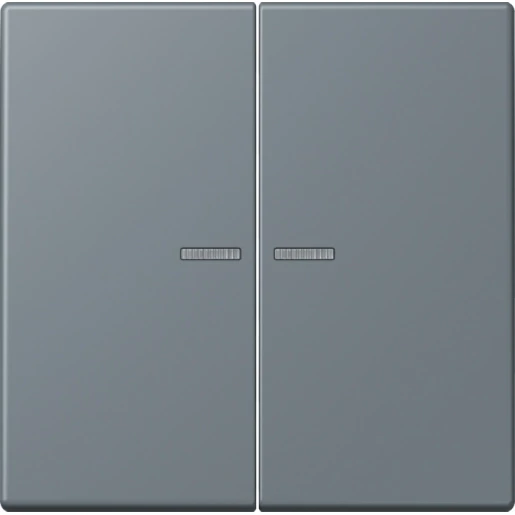 Jung LS range Home stuurafdekking LC4320H 2-voudig Mat BTLC17102251