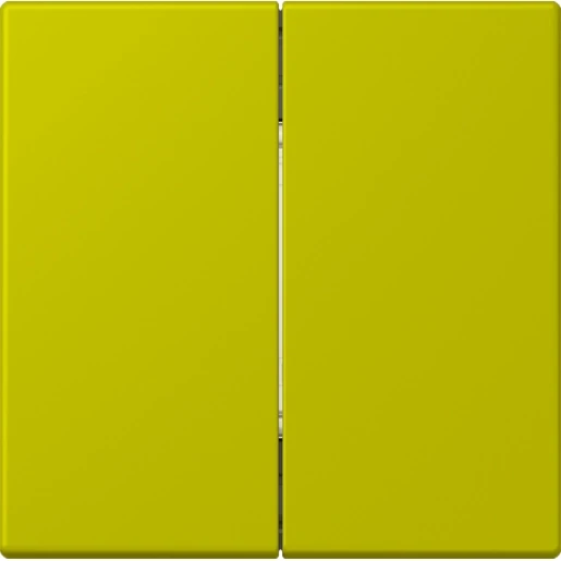 Jung LS range Friends of Hue wandzender 4-kanalen Groen FOHLC995249