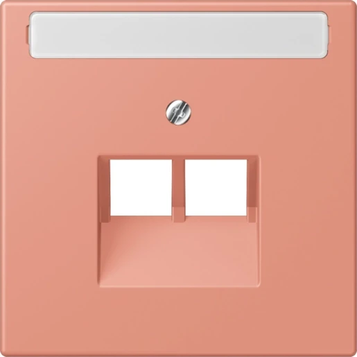 Jung LS range Afdekking centraalplaat LC32111 UAE/IAE 2 connectoren Met label LC969-2NAUA233