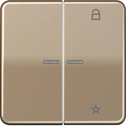 Jung CD range tastafdekking cd500 goud brons 2-voudig Glanzend brons FMCD1701GB