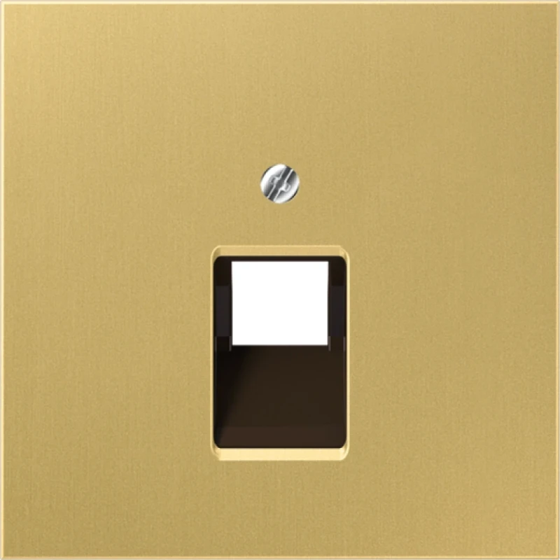 Jung LS range Centraalplaat- (onderdeel) afdekking UAE/IAE 1 connector MetaalZonder label messing ME2969-1UAC