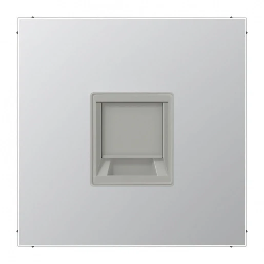 Jung LS range Centraalplaat- (onderdeel) afdekking Modular-Jack 1 connector MetaalZonder label aluminium AL1969-15WE