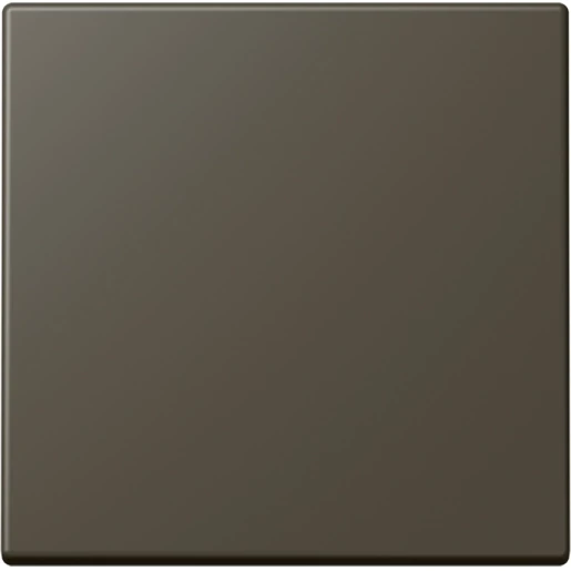Jung LS range Bluetooth wandzender 2-kanalen BLELC990241