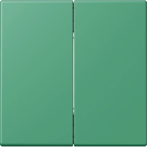 Jung LS range Friends of Hue wandzender 4-kanalen FOHLC995250