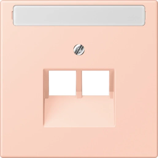 Jung LS range Afdekking centraalplaat LC32112 UAE/IAE 2 connectoren Met label LC969-2NAUA234