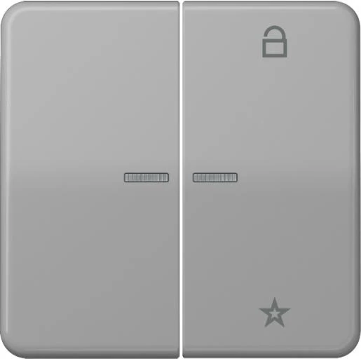 Jung CD range tastafdekking cd500 2-voudig Glanzend grijs RAL 7038 FMCD1701GR