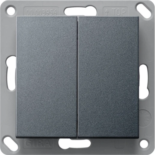 Gira System 55 Bluetooth wandzender ig 2-voudig antraciet 246228