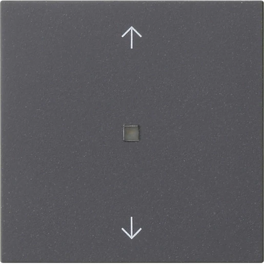 Gira System 55 s3000 bedieningselement bluetooth pijlen enkelvoudig antraciet 538228