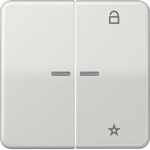 Jung CD range tastafdekking cd500 licht grijs 2-voudig Glanzend grijs RAL 7035 FMCD1701LG