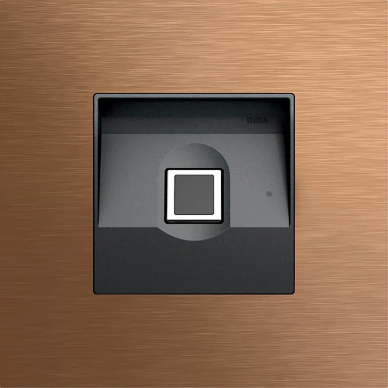 Gira System 106 Keyless vingerprint-module brons 5551921