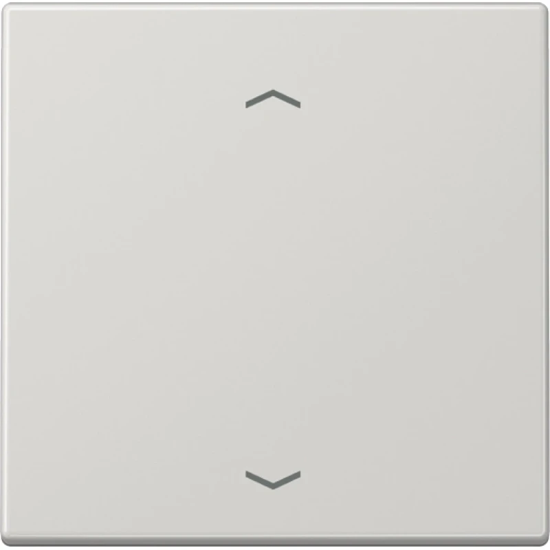 Jung LS range enOcean Wandzender LS990 + symbolen 2-kanalen Grijs ENOLS990PLG