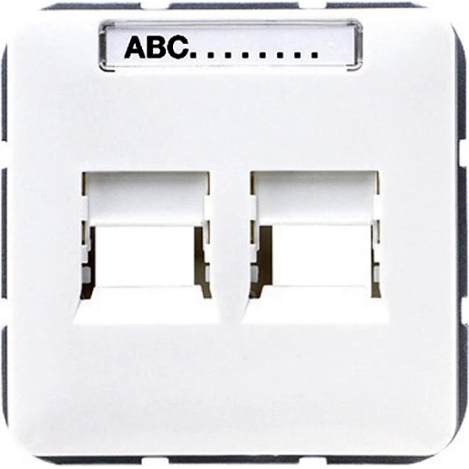 Jung CD range centraalplaat 6we/8we cd500 Modular-Jack 2 connectoren Met label wit 569-2WE