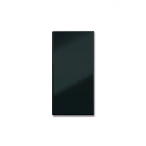 Siedle Beltoets zonder belsymbool zwart 200029934-00