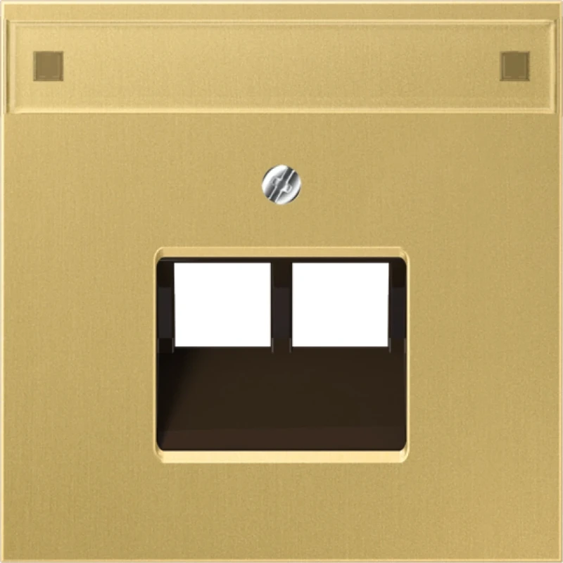 Jung LS range afdekking klassiek UAE/IAE 2 connectoren MetaalMet label messing ME2969-2NAUAC