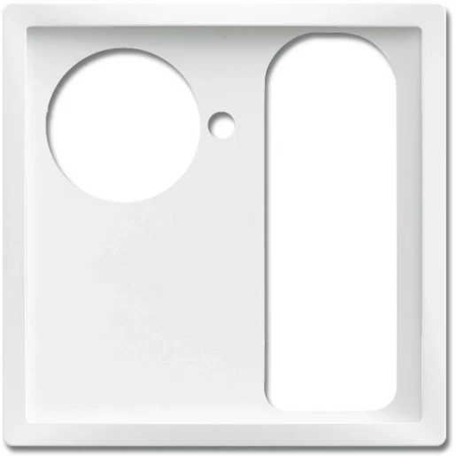 ABB Busch-Jaeger Future, Solo, Axcent, Carat miva centraalplaat oproepsysteem zettler 1 toets steek wit RAL 9016 2CKA001710A4115
