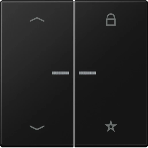Jung LS range tastafdekking slagvast a500 slagvast 2-voudig Mat zwart FMLS1701PSWM