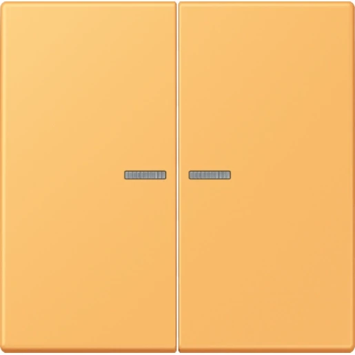 Jung LS range Home stuurafdekking LC4320L 2-voudig Mat BTLC17102254