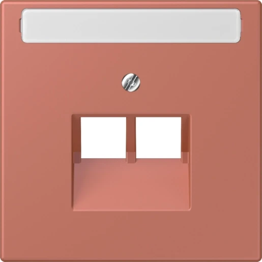 Jung LS range Afdekking centraalplaat LC32121 UAE/IAE 2 connectoren Met label LC969-2NAUA236