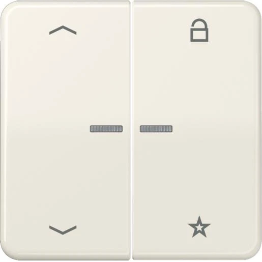 Jung CD range tastafdekking pijlen cd500 2-voudig Glanzend wit RAL 1013 FMCD1701P