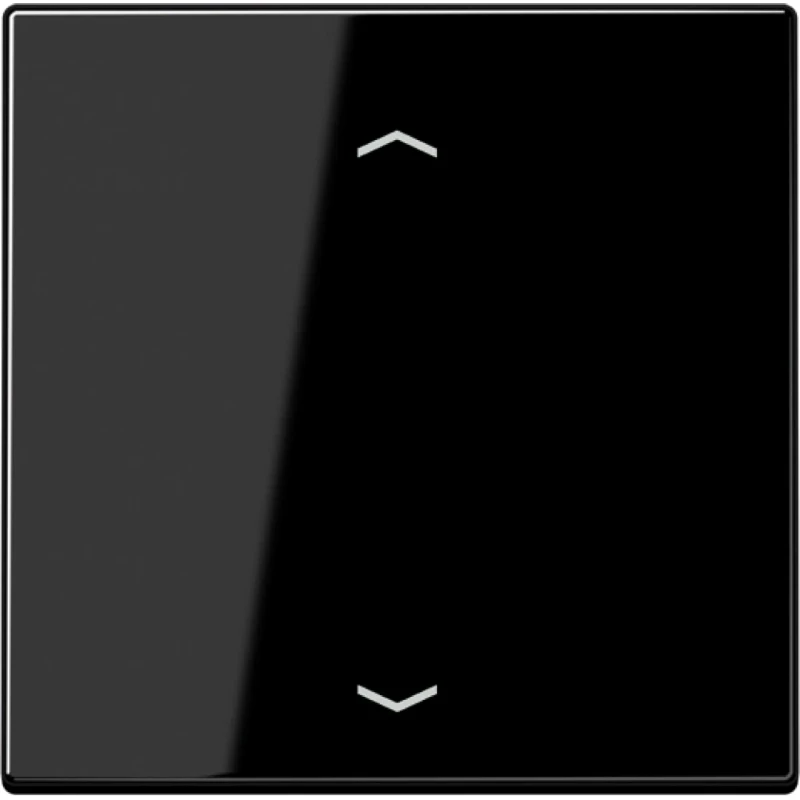 Jung LS range enOcean Wandzender LS990 + symbolen 2-kanalen Zwart ENOLS990PSW