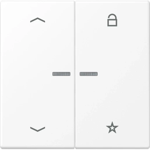 Jung LS range tastafdekking slagvast a500 slagvast 2-voudig Mat wit FMLS1701PWWM