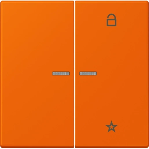 Jung LS range stuurafdekking universeel lc32080 2-voudig Mat FMLC1701224
