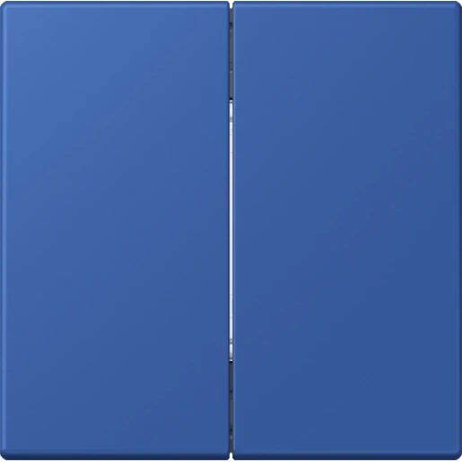Jung LS range Friends of Hue wandzender 4-kanalen Blauw FOHLC995253