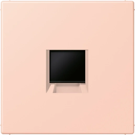 Jung LS range Afdekking centraalplaat AMP Radiall LC32112 Modular-Jack 1 connector Zonder label LC1969-1WE234