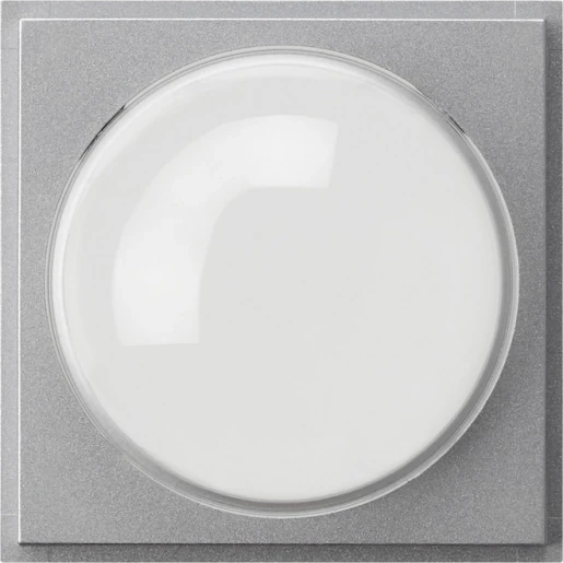 Gira TX_44 Afdekking kleurencamera aluminium 141565
