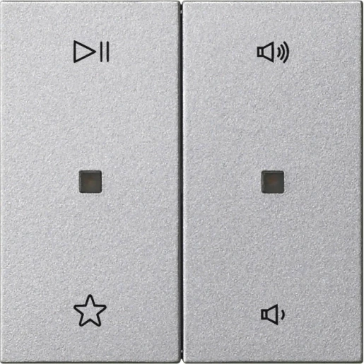 Gira System 55 Wip audiobesturing aluminiumkleurig enkelvoudig aluminium 538426