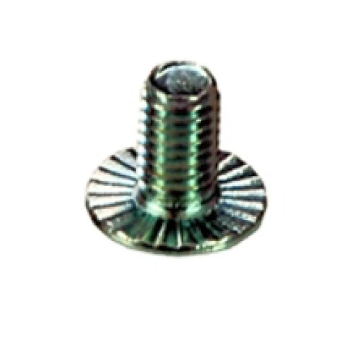 ASF Kraagbout M6x10mm Bolkop Schroefgleuf 96701001