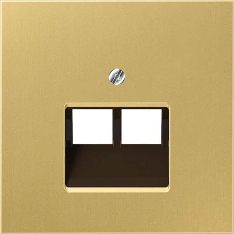 Jung LS range centraalplaat- (onderdeel) afdekking klassiek UAE/IAE 2 connectoren MetaalZonder label messing ME2969-2UAC