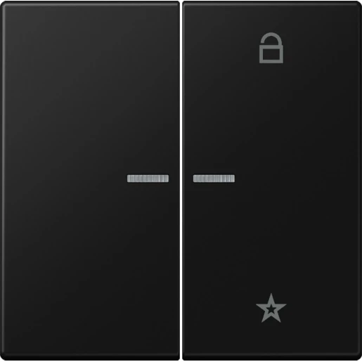 Jung LS range tastafdekking ls990 2-voudig Mat zwart FMLS1701SWM