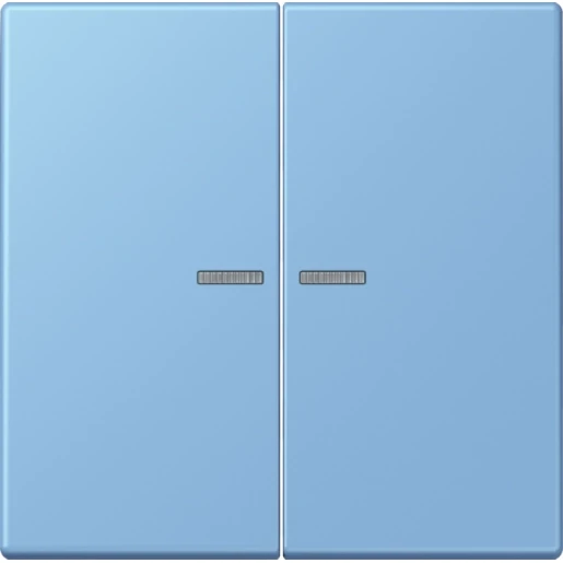 Jung LS range Home stuurafdekking LC4320N 2-voudig Mat BTLC17102256