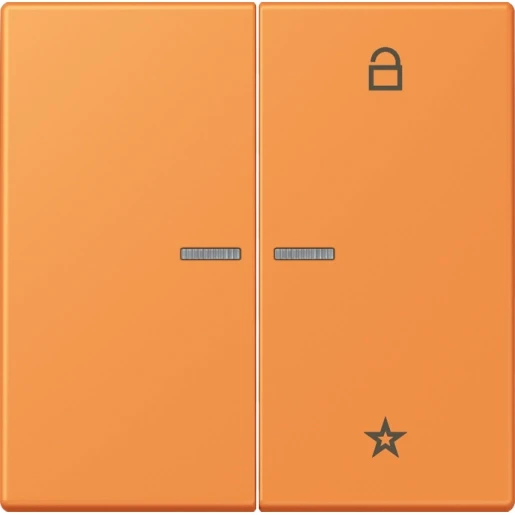 Jung LS range stuurafdekking universeel lc32081 2-voudig Mat FMLC1701225