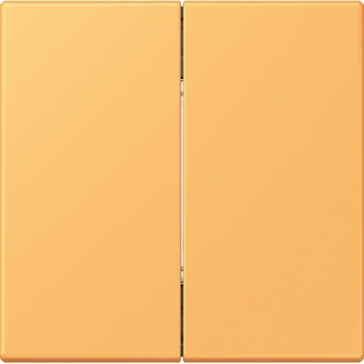 Jung LS range Friends of Hue wandzender 4-kanalen FOHLC995254