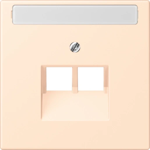 Jung LS range Afdekking centraalplaat LC32123 UAE/IAE 2 connectoren Met label LC969-2NAUA238
