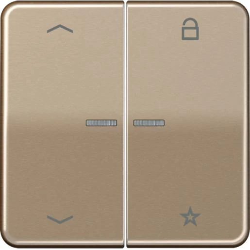 Jung CD range tastafdekking pijlen cd500 goud brons 2-voudig Glanzend brons FMCD1701PGB