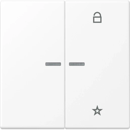 Jung LS range tastafdekking ls990 2-voudig Mat wit FMLS1701WWM