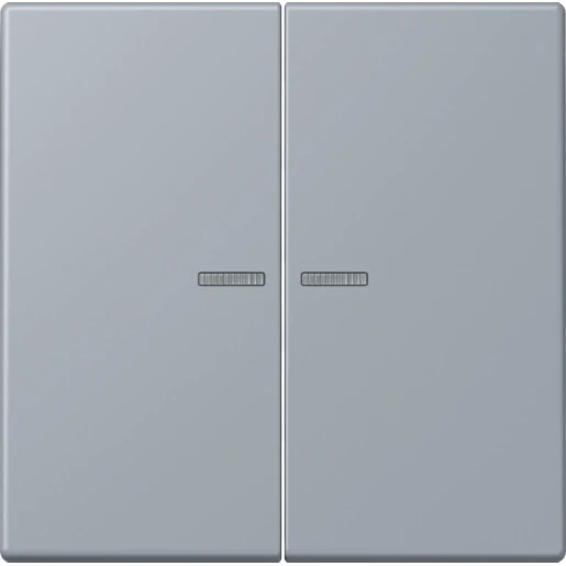 Jung LS range Home stuurafdekking LC4320O 2-voudig Mat BTLC17102257