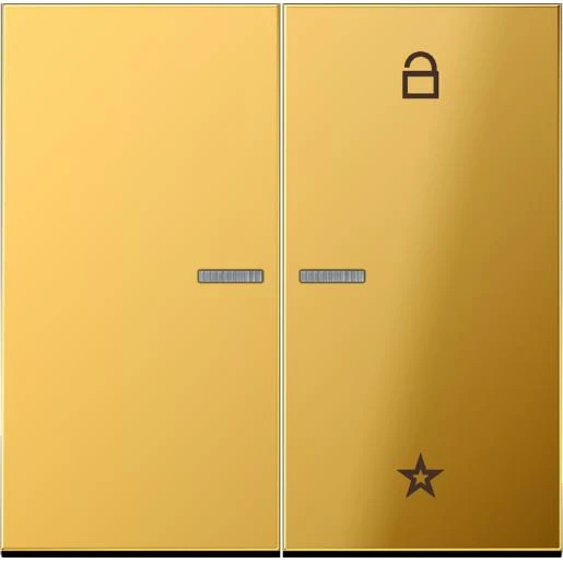 Jung LS range tastafdekking ls990 2-voudig Glanzend goud FMGO1701