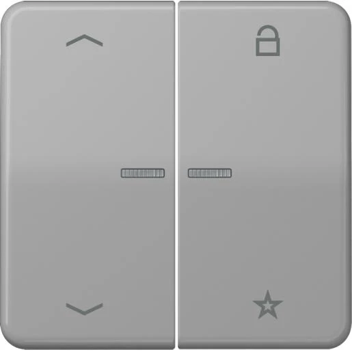 Jung CD range tastafdekking pijlen cd500 2-voudig Glanzend grijs RAL 7038 FMCD1701PGR