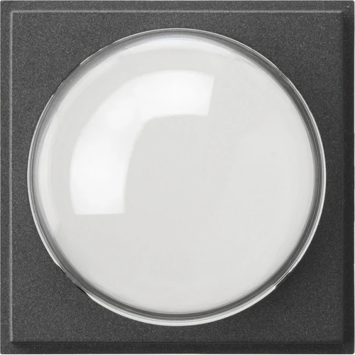 Gira TX_44 Afdekking kleurencamera antraciet 141567