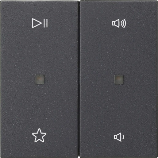 Gira System 55 Wip audiobesturing enkelvoudig antraciet 538428