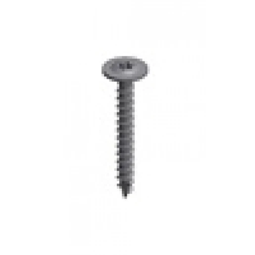 Van der Valk torxschroef 5.5x38mm T30 RVS BG