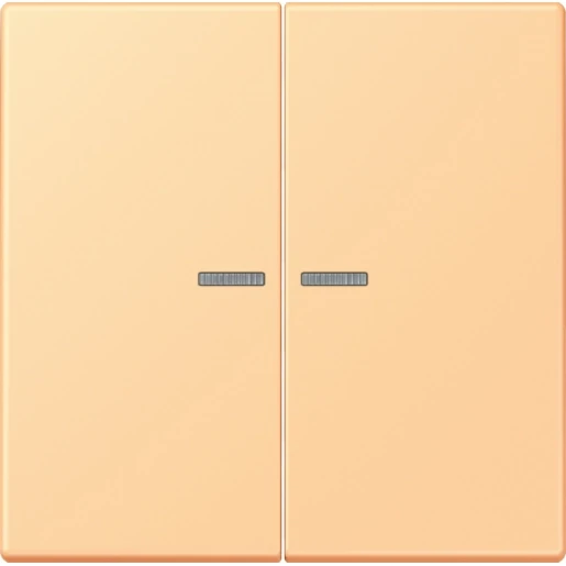 Jung LS range Home stuurafdekking LC4320P 2-voudig Mat BTLC17102258