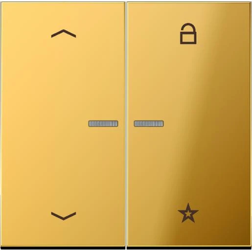 Jung LS range tastafdekking pijlen ls990 2-voudig Glanzend goud FMGO1701P